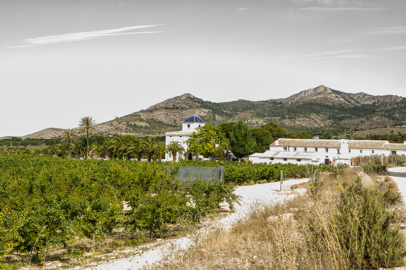 Finca señorial en Sax